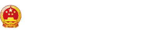 黄色B网"